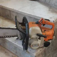 درخت باغی شما را با بالاترین قیمت خریدارم