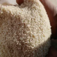 خرده برنج ریز کامفیروزی اصل سورت شده کیسه ۲۰کیلو