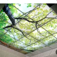 سقف کاذب کناف شصت درشصت اذران|مصالح و تجهیزات ساختمان|خوی, |دیوار