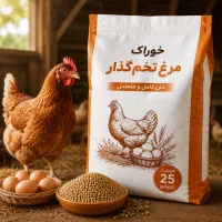 خوراک مرغ بومی و محلی تخم‌گذار