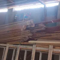 حدود ۱۰۰ شاخه لمبه نرات