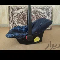 کریر نوزادی