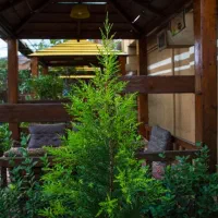 همکار ویزیتور خانم یا آقا