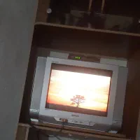 تلویزیون|تلویزیون و پروژکتور|یاسوج, |دیوار