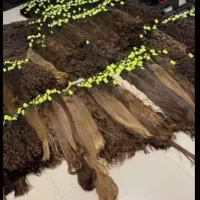 سالن تخصصی خرید مو و فروش