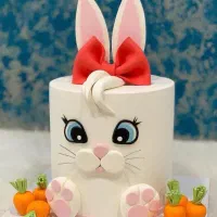*بروز ترین‌ و خوشمزه ترین کیکهای تولد،عروسی ، ژله*