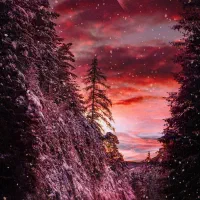 فال قهوه و تاروت 200 تومن