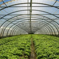 زمین-کشاورزی-مناسب-حتی-گلخانه-امکان-تهاتر-با-خودرو