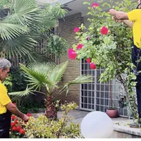 خدمات حرفه‌ای باغبانی در مشهد