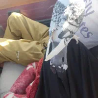 ساتن|پرنده|قائن, |دیوار