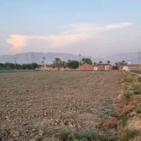 فروش-زمین-کشاورزی