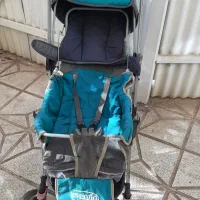 کالسکه دلیجان زیر قیمت|کالسکه و لوازم جانبی|نیشابور, شهرک جانبازان|دیوار