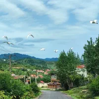 ویلا شیک   با ۴۰۰ متر محوطه