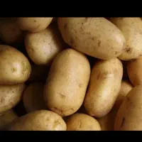 سیب زمینی