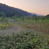 فروش زمین زراعی|فروش زمین و ملک کلنگی|زیرآب, |دیوار