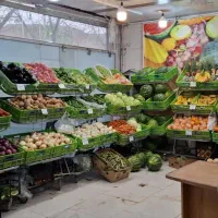 استند میوه سبزیجات