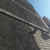 سیمان کاری سیاه و سفید متری۲۵۰