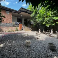 ویلا ۲۵۰متری بافت  جاده سرخرود