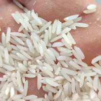 برنج درجه یک اصل