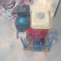 فروشی جل تخته جل بندوونج جل ماهی میگو حلو|ماهیگیری|بندرعباس, |دیوار