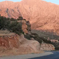 داوطلبانه