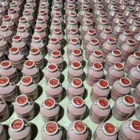 رب گوجه فرنگی جوین سبزوار دبه۶کیلویی باکیفیت ممتاز