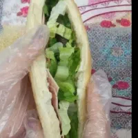 ساندویچ سرد با نشان سیب سلامت