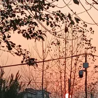 اجاره کوتاه مدت