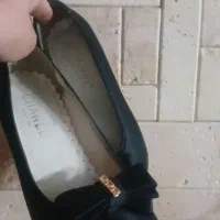 کفش مجلسی|کیف، کفش، کمربند|ری, دیلمان|دیوار