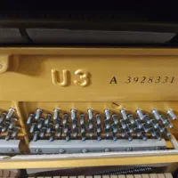 پیانو آکوستیک|پیانو، کیبورد، آکاردئون|اهواز, کیانپارس |دیوار