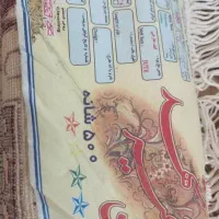 استند گل ،فرش ۱۲ متری،زیر تلویزیونی|گل و گیاه طبیعی|شیراز, شاه قلی بیگی|دیوار