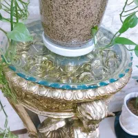 دوعددمیزطلایی شیک دکورشیشه خور|مبلمان خانگی و میز عسلی|علی‌آباد کتول, |دیوار