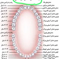 دستیار و منشی