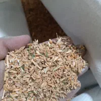 *تخمه دامی ک اه سبز و سفید *|حیوانات مزرعه|حبیب آباد, |دیوار