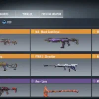 اکانت زیلات