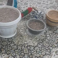 مقداری وسایل مورد نیاز خونه