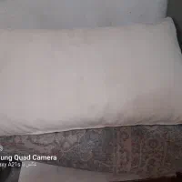 ۳ تا بالش پر قو به قیمت مناسب به فروش میرسد