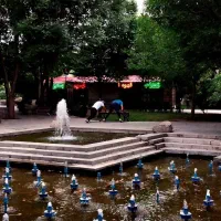 گردهمایی ورویداد