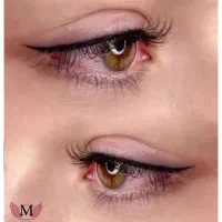 میکرو،شیدلب،خط چشم،بن مژه|خدمات آرایشگری و زیبایی|تربتحیدریه, مظفریه|دیوار