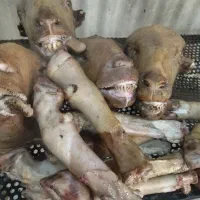 با عرض سلام پاک کردن کله پاچه در منزل