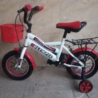 دوچرخه دوازده کودک