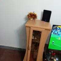 فروشی|بوفه، ویترین، کنسول|شیراز, کوشک میدان|دیوار