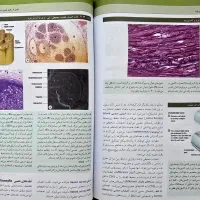 بافت شناسی پایه جان کوئیرا ۲۰۲۱ (جان کوییرا)|کتاب و مجله آموزشی|اصفهان, شهرک شهید منتظری|دیوار
