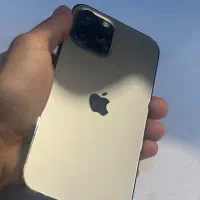 12 pro max