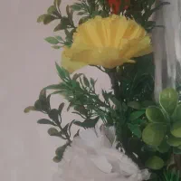 مدارک گم شده