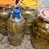 مواد غذایی