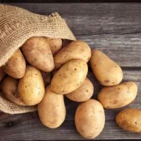 نیروی ساده جهت همکاری در مجموعه غذایی