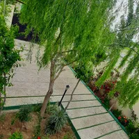 باغ ویلا روزانه جنگلی سهیلیه|اجارهٔ کوتاه‌مدت ویلا و باغ|تهران, توحید|دیوار