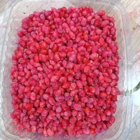 خریدار زرشک شاخه برای کارگاه زرشک دان کنی