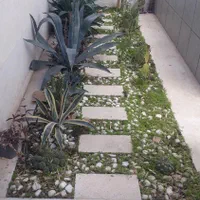 باغ.باغچه.گل و گلدون در منزل و محل کار|خدمات باغبانی و درختکاری|شیراز, عفیفآباد|دیوار